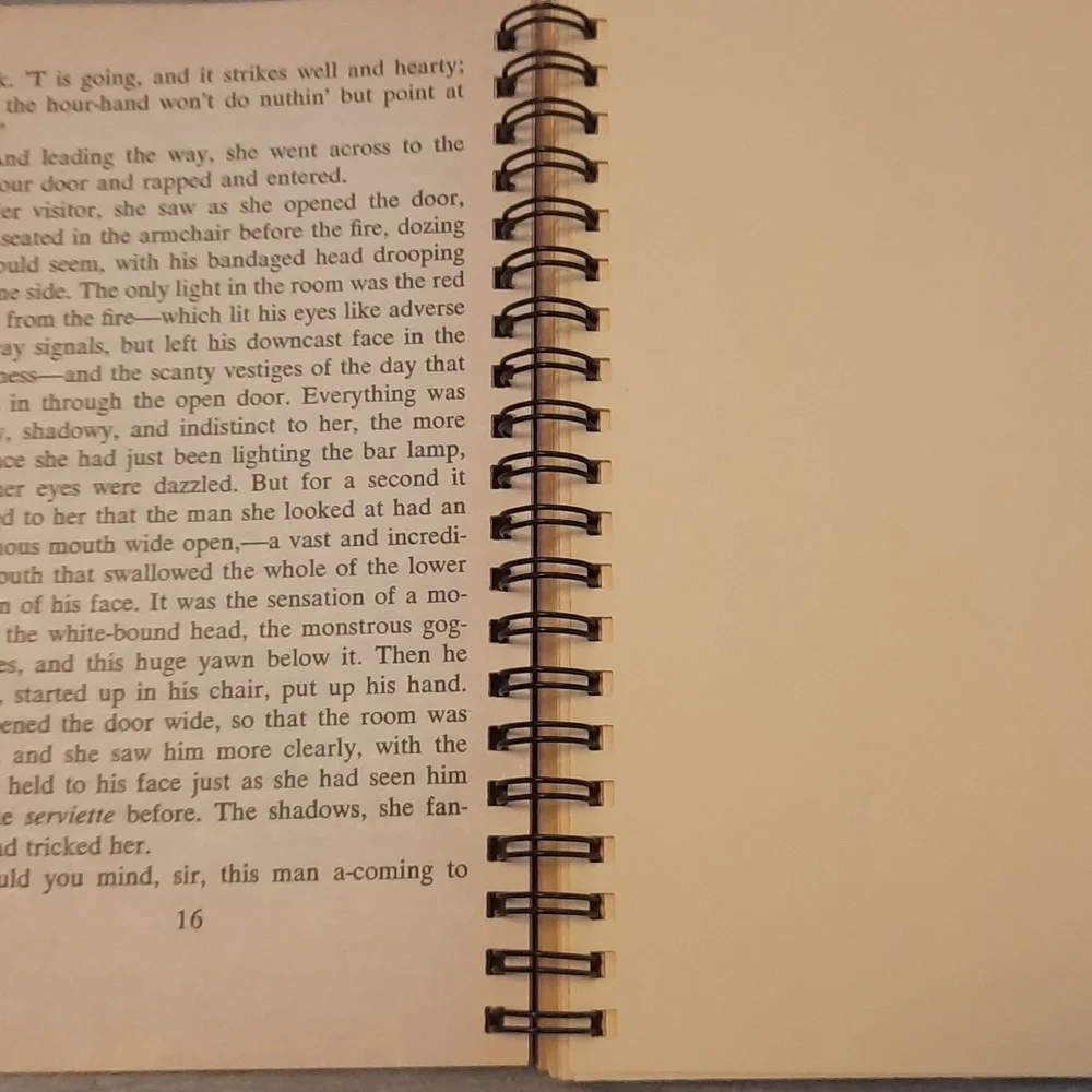 Secret Journal "The Invisible Man" - Picture 3 of 6